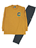 O[ Champion(`sI)amEpcpW} Svg Ԃ^CṽJ[@S[h 