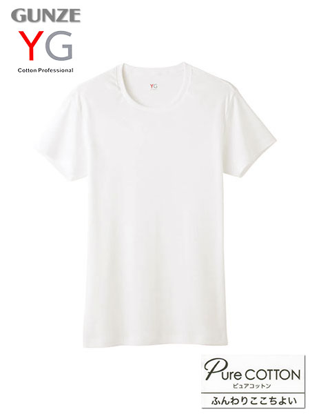 �O���[ YG �a�m�N���[�l�b�N�s�V���c(�ێ�) �{�́F��100% �s���A�R�b�g�� YVP013A�̃��C���摜