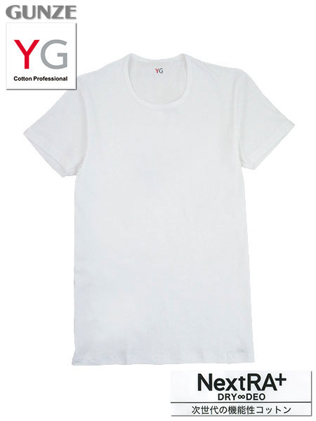 人気提案 GUNZE YGクルーネックTシャツLサイズ
