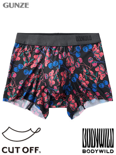 �O���[ BODYWILD �a�m�{�N�T�[�p���c(�O�Ƃ�) �؂���ςȂ� ���{�� �`�F���[�� BWA201A�̃��C���摜