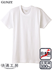 GUNZE(�O���[)���K�H�[ �a�m�����ێ� ���炩�f�� �t���C�X�҂� ��100%