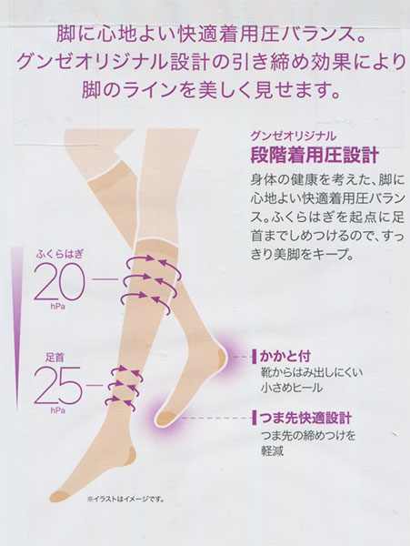 �O���[ BeautyShape �w�l�����Ђ�����X�g�b�L���O ����25hPa �n�[�h�Ɉ������� EAS801�̏ڍ׉摜�R