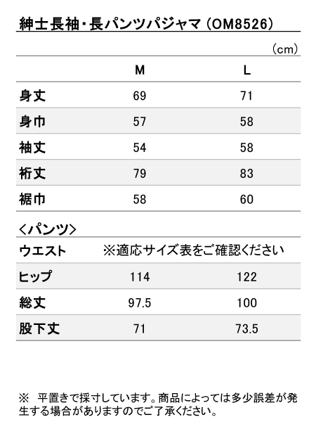 ���i�T�C�Y